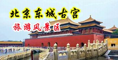 挠乳头网站中国北京-东城古宫旅游风景区